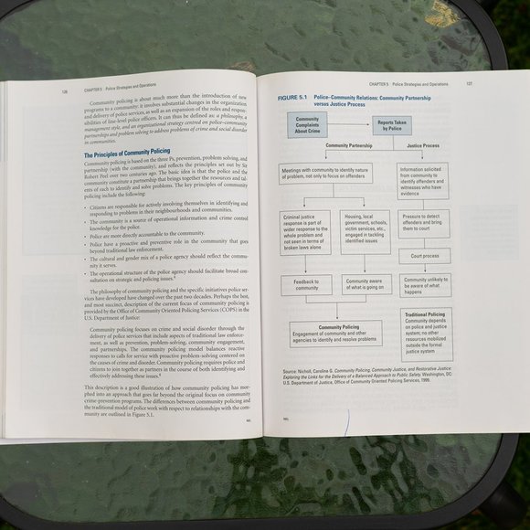 Book: Canadian Criminal Justice - Picture 4 of 7